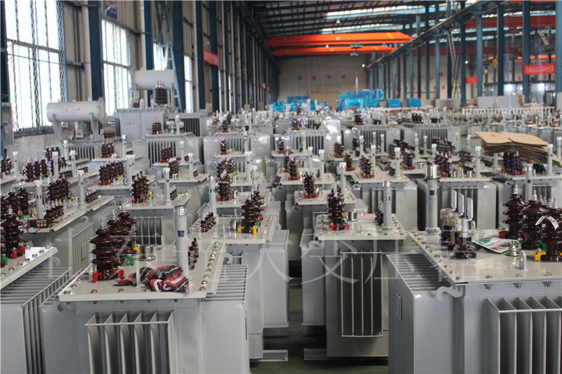 肃州S22-800KVA/10KV